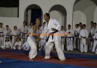 karate (83) (Αντιγραφή)